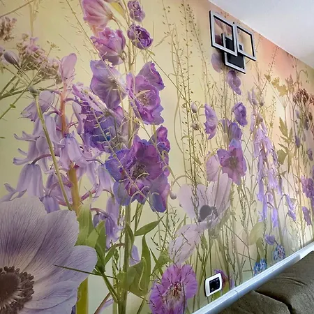 Residenza Pesce D'oro 베르바니아