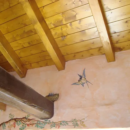 Residenza Pesce D'oro Verbania